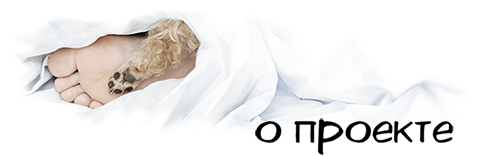 a-02-ml.png